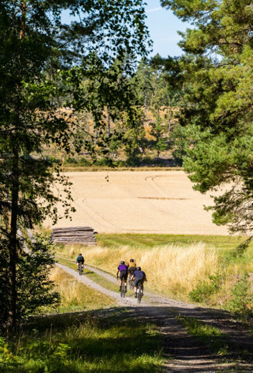 Gravelbiking in Stockholm EN